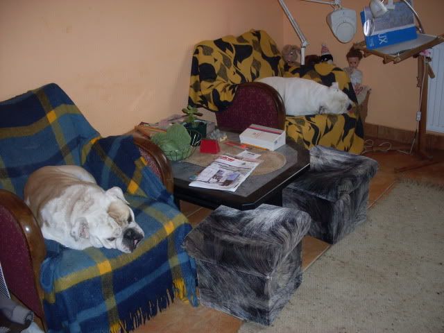 SDC11017-1.jpg