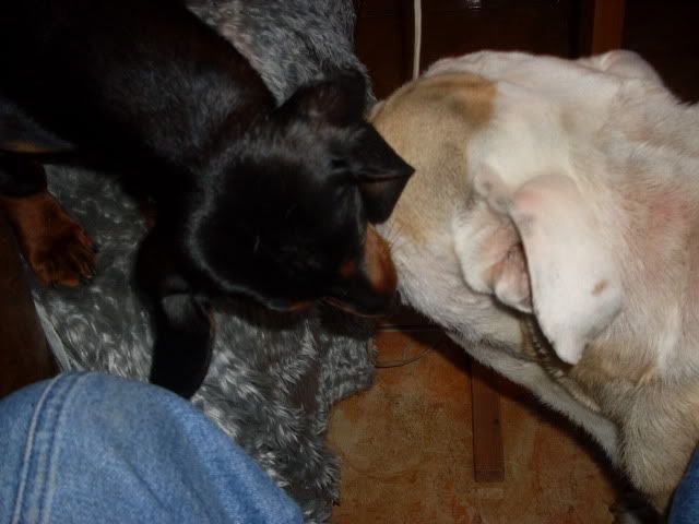 SDC11131.jpg