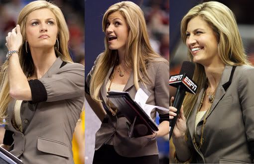 Erin Andrews turned gamers into fan boys with her Road to Glory coverage