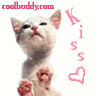 cat kiss icon