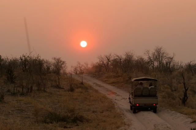 IMAGE: http://i131.photobucket.com/albums/p312/mjadse/Safari/IMG_6050.jpg