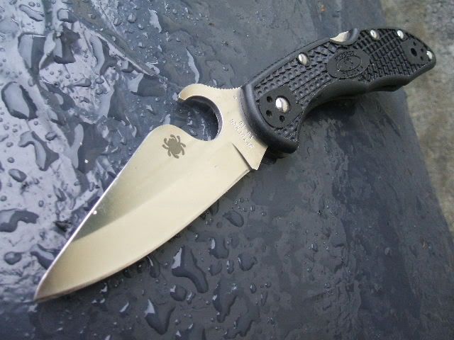 Spydie Hole cut off