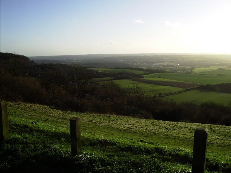 Picture007.jpg