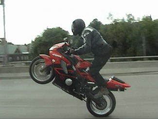 Cbr Wheelie