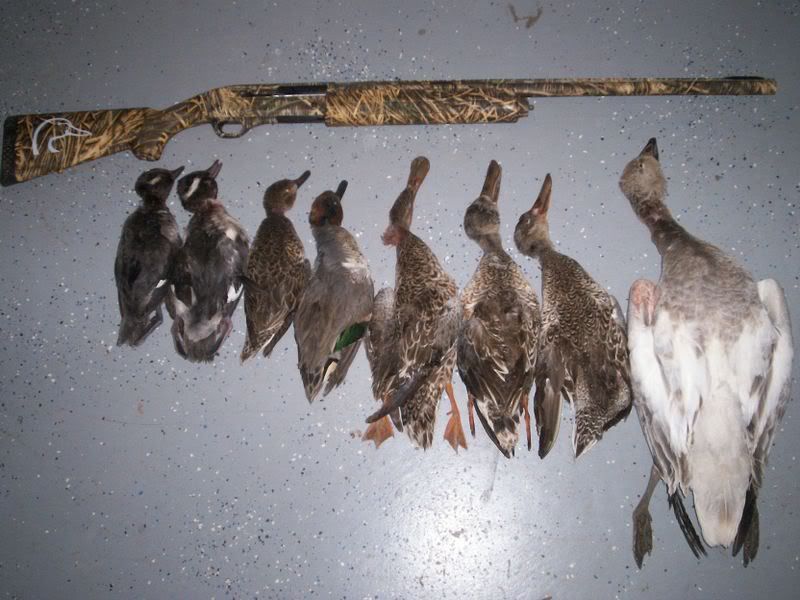 Just got back from WISTER Duck Hunting Forum