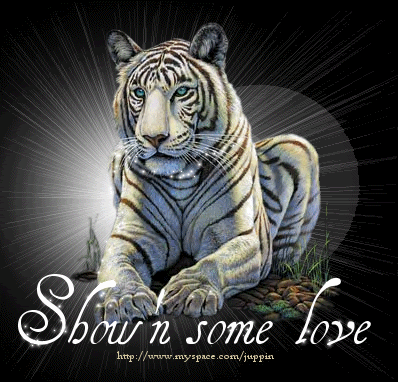 White Tiger Showin Love