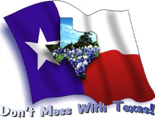 Dont mess with Texas photo: Dont Mess With Texas dontmesswithtexas.jpg