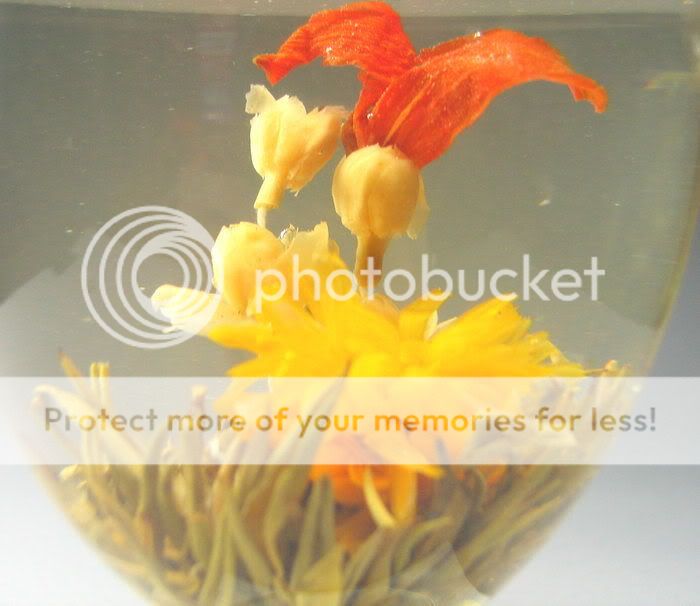 Flower Crown * Flowering Tea 12 Blooms *   