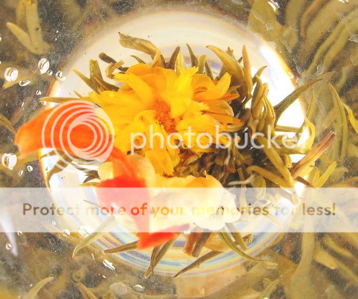 Flower Crown * Flowering Tea 12 Blooms *   