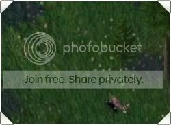 Columbusthumb.jpg