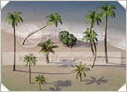 palmtreeflorathumb.jpg