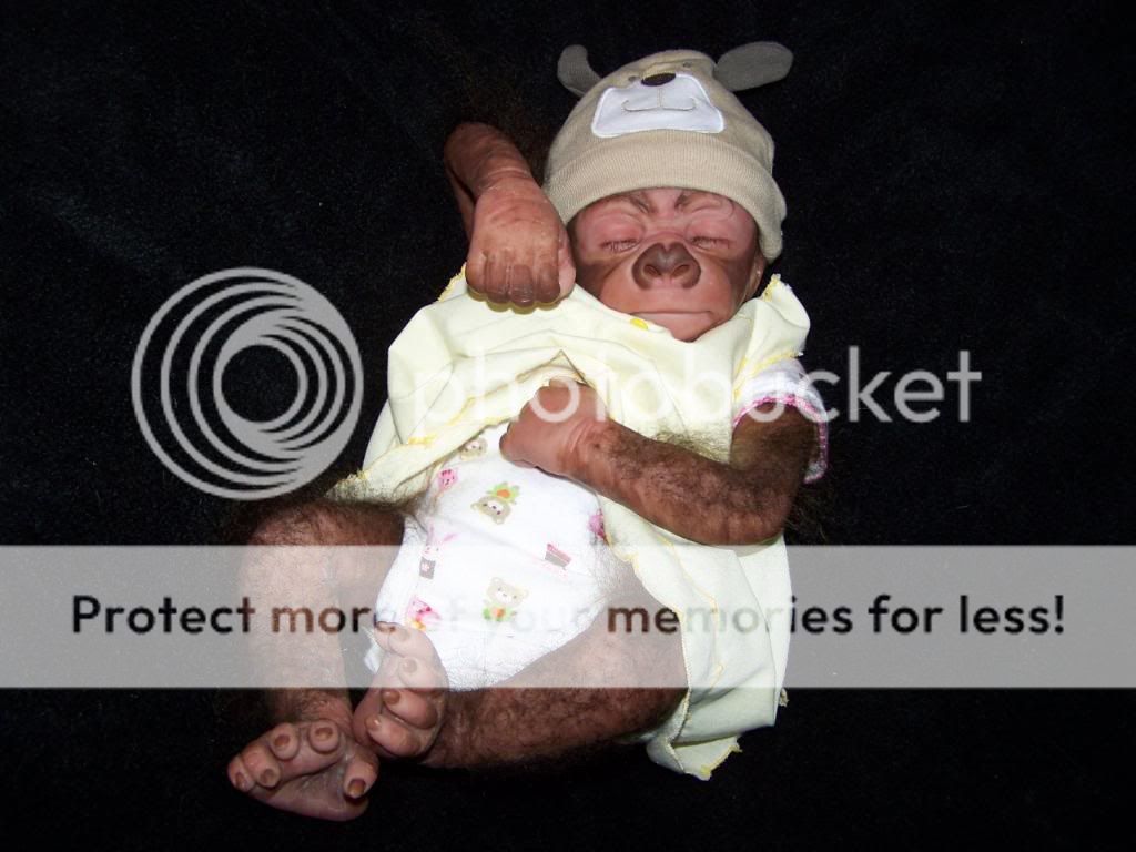 OOAK newborn Reborn baby girl gorilla 18 monkey orangutan art doll No 