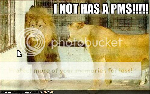 funny-pictures-girl-lion-yells-at-b.jpg