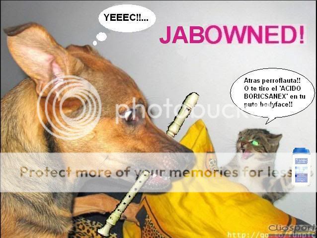 flaucat.jpg