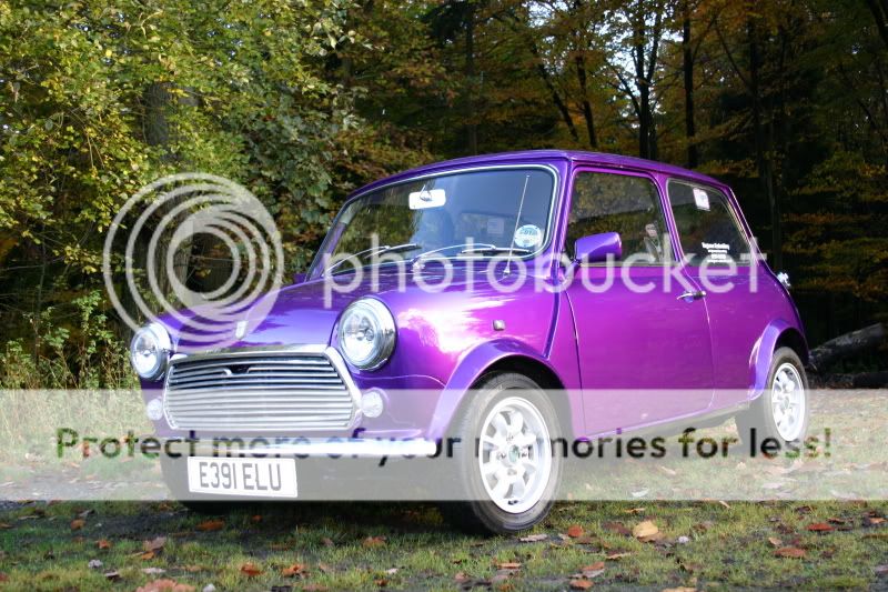 Ford phantom purple paint code #3